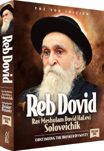 Reb Dovid Rav Meshulam Dovid HaLevi Soloveichik Volume 1 [Hardcover]