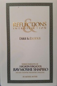 Reflections and Introspection Exile and Exodus [Hardcover]