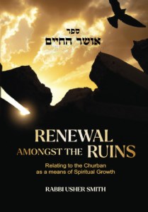 Renewal Amongst the Ruins [Paperback]