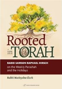 Rooted in Torah [Hardcover]