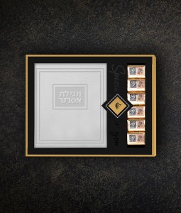 Faux Leather Megillas Esther Gift Package with Dairy Praline Chocolate Hebrew Meshulav Gray [Hardcover]
