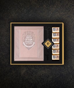 Faux Leather Megillas Esther Gift Package with Pareve Praline Chocolate Hebrew Meshulav Silvery [Hardcover]