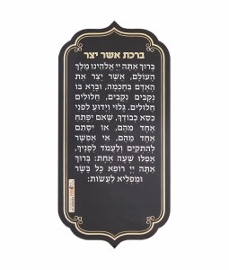 Asher Yatzar Hebrew Magnet 7.2" x 3.6"