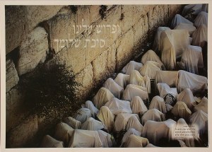 Birkas Kohanim Laminated Sukkah Poster