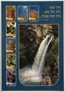 Shivas Haminim Seven Species Laminated Sukkah Poster