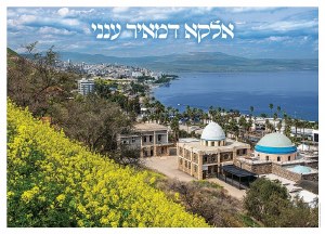 Rabbi Meir Teveria Laminated Sukkah Poster
