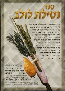 Seder Netilas Lulav Laminated Sukkah Poster
