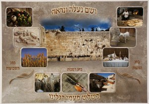 Shalosh Regalim Three Festivals Laminated Sukkah Poster