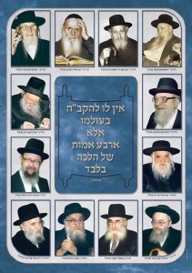 Rabbanim Laminated Sukkah Poster