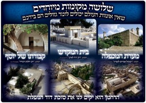 Mekomos Hakedoshim Laminated Sukkah Poster