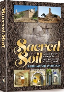 Sacred Soil [Hardcover]
