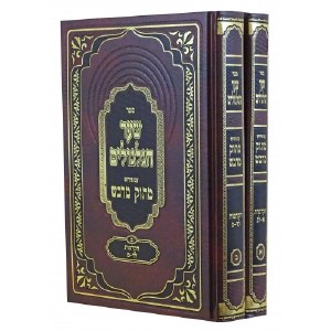 Shaar HaGilgulim with Perush Masuk Midvash Hebrew 2 Volume Set [Hardcover]
