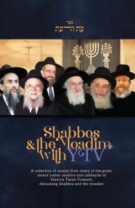 Shabbos and the Moadim with YTV [Hardcover]