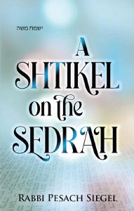 A Shtikel on the Sedrah [Hardcover]