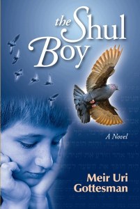 The Shul Boy [Paperback]