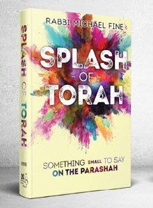 Splash of Torah [Hardcover]