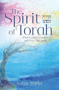 The Spirit of Torah [Hardcover]