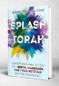 Splash Of Torah Life Cycle [Hardcover]