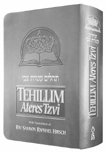 Tehillim Ateres Tzvi Silver Flexible Leatherette