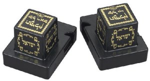 Tefillin Holder #42 Black Plastic for Righty