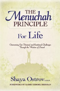 The Menuchah Principle for Life [Hardcover]