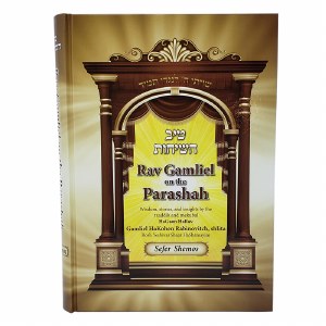 Tiv Hasichos Sefer Bamidbar [Hardcover]