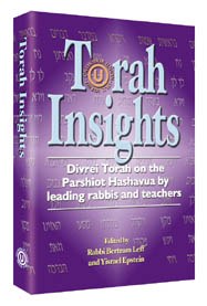 Torah Insights - Paperback