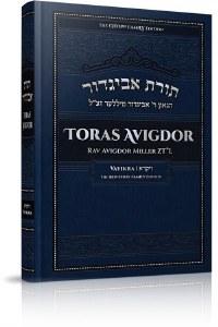 Toras Avigdor Volume 5 Devarim [Hardcover]