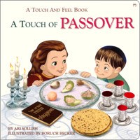 Touch of Passover - A Touch and Feel Book [Boardbook]