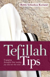 Tefillah Tips [Paperback]