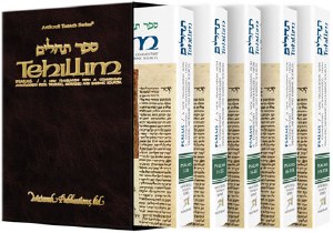 Tehillim - 5 Volume Slipcased Set Personal Size [Hardcover]