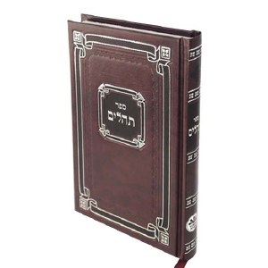 Tehillim Medium Size Maroon [Hardcover]