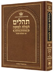 Artscroll Tehillim Large Type Hebrew with Hebrew Introductions Pocket Size Brown [Hardcover]