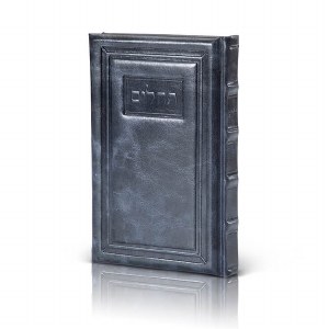 Artscroll Interlinear Tehillim Antique Leather Medium Size Blue