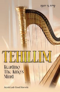 Tehillim Reading the King's Mind [Hardcover]