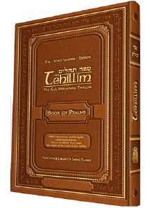 Tehillim The Schottenstein Edition [Hardcover]