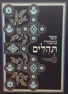 Hebrew and English Tehillim - Illustrated