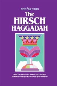 The Hirsch Haggadah [Hardcover]