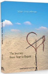 The Journey From Tear to Repair