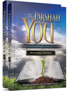 The Parashah and YOU 2 Volume Set [Hardcover]
