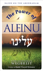 The Power of Aleinu [Hardcover]