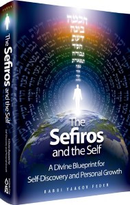 The Sefiros and the Self [Hardcover]