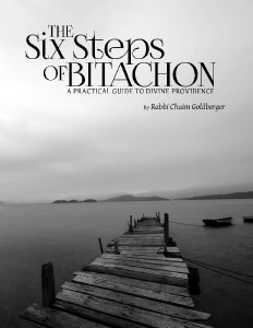 The Six Steps of Bitachon [Hardcover]
