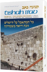 Tishah B'av: Texts, Readings, and Insights [Hardcover]