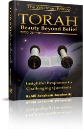 Torah: Beauty Beyond Belief [Hardcover]