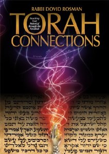 Torah Connections [Hardcover]