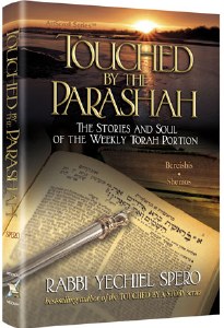 Touched by the Parashah [Hardcover]