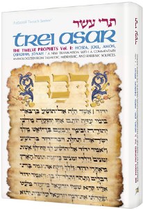 Trei Asar I- Twelve Prophets I: Hosea, Joel, Amos, Obadia, Jonah [Hardcover]