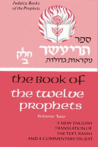 Twelve Prophets 2 (Trai Asar Beis) [Hardcover]