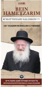 Rav Mattisyahu Salomon Vaadim Bein Hametzarim English Yiddish Series Volume 1 USB